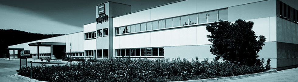 company_img.jpg